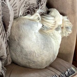 Meet your Posher, Rayne